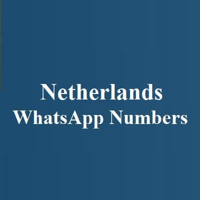 Netherlands WhatsApp Numbers