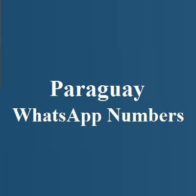 Paraguay WhatsApp Numbers